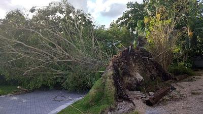 Snapshots from Hurricane Irma in Southeast Florida