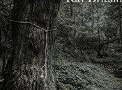 Last Thread Britain #AuthorPost