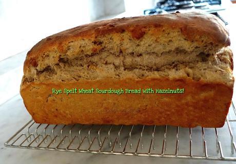 Rye Spelt Wheat Sourdough Bread studded with Roasted Hazelnuts!