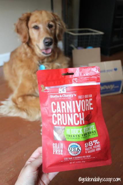stella and chewys carnivore crunch freeze-dried dog treats
