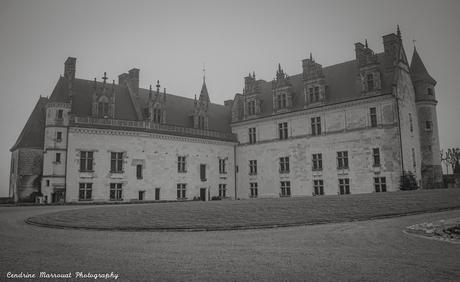 A visit to France – Château d’Amboise