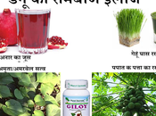 Take Care Dengue Patients Best Home Remedies Fever
