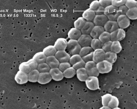 Cochrane Presents Interactive Learning Courses Cochrane Presents Interactive Learning Courses