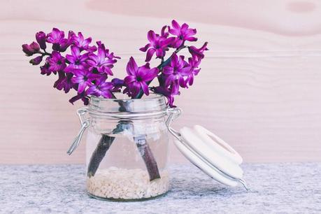 Floral Arrangement Tips for Beginners