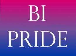 Bi visibility day: Gay invisibility