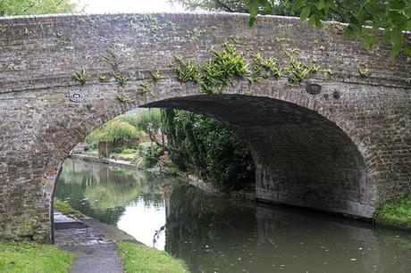 Bridge over the canal