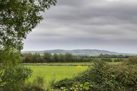 Distant Hills