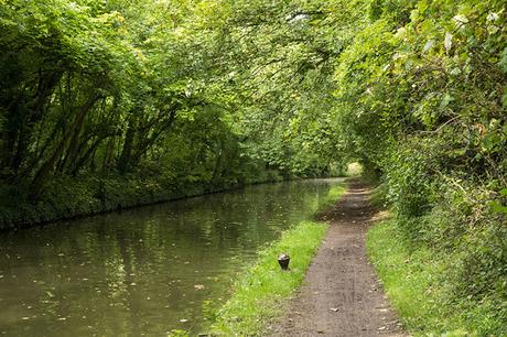 Grand Union Canal