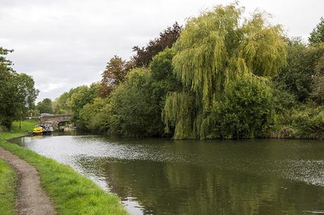 Canal Willows - there is a car on the back of one of those barges!