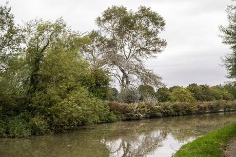 Raining on the canal