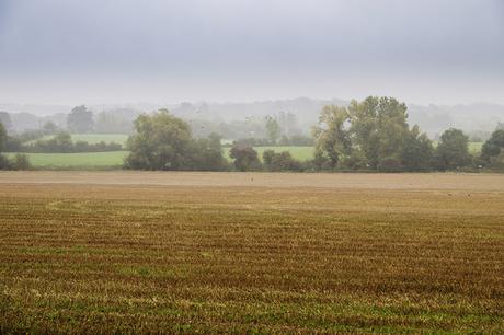 Rain shrouds the countryside