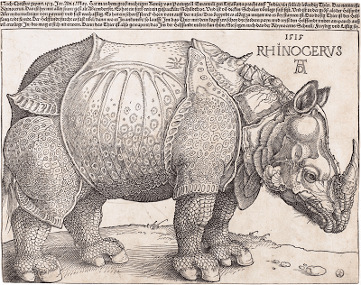 Rhinoceros, rhinoceroses, rhinoceri*