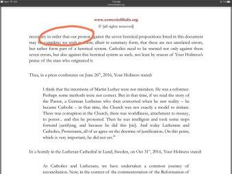 Regarding the ‘filial correction’ of Pope Francis