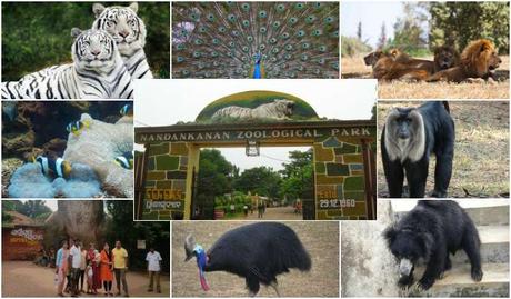 Nandankanan Zoological Park (TravelRasoi)