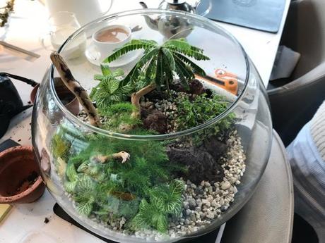 Terrariums are Terrifically Popular – Again