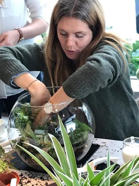 Terrariums are Terrifically Popular – Again