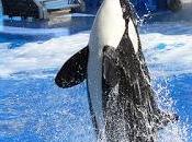 September 26th Is... (Includes Printable Freebies)