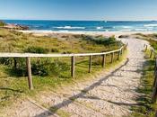 Best Beaches NSW, Australia Discover World-Class Beaches!