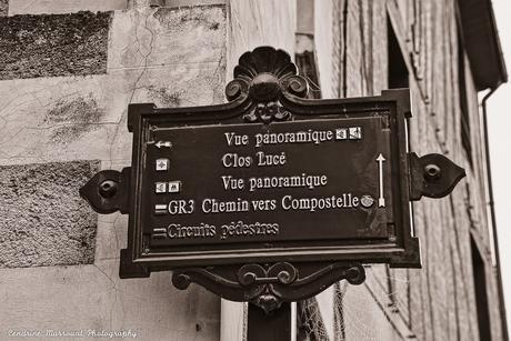 A visit to France – Château d’Amboise (2)
