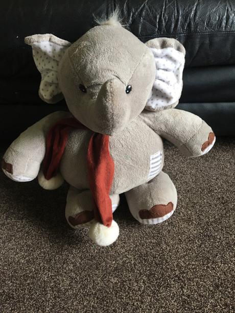 The Elephant in the room! Living with a speech disorder!