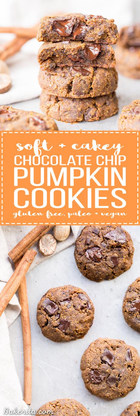 These Soft Chocolate Chip Pumpkin Cookies are a cakey and delicious spiced cookie that’s loaded with chocolate! If you like softer cookies, you’ll adore these gluten-free, paleo + vegan pumpkin cookies.