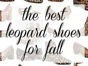 Best Leopard Print Shoes Your Wardrobe