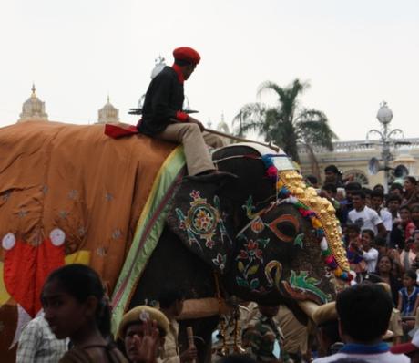 DAILY PHOTO: Scenes from Jamboo Savari