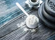 Popular Muscle Building Supplements