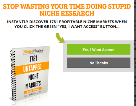 How to Do Niche Market Research For A New Business (The Best Guide)