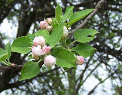 Friday Encouragement Interlude