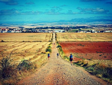 One Path, Many Lives. Un Chemin, Plusieurs Vies. #benheinephotography #path #lives #photography #camino #santiago #nature #compostelles #buencamino #music #painting #beauty #musique #pilgrim #pilgrimage #faith #foi #photographie #chemin #marche #travel...