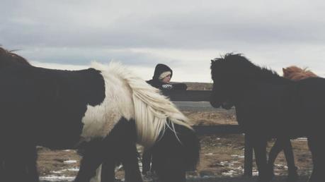 Iceland with Kids