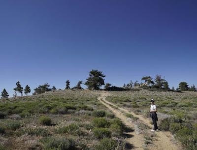 MOUNT PINOS, Southern California: On Top of the World