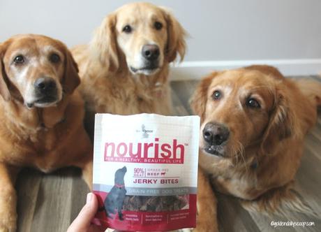 choosing a quality grain free  jerky treat for your dog
