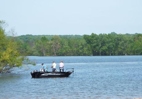 Mosquito Lake speedboat