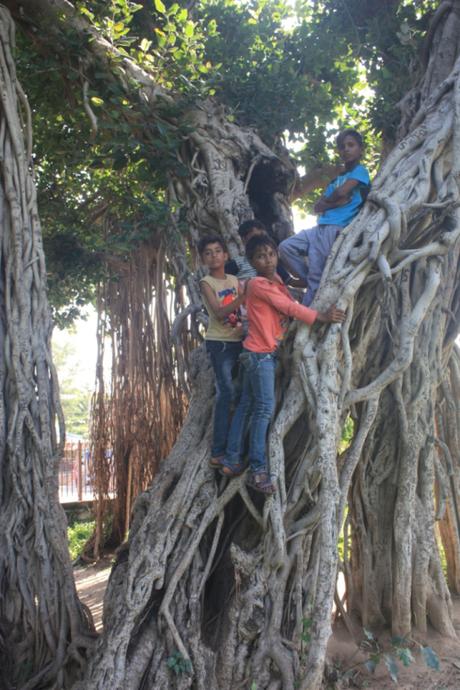DAILY PHOTO: Gujarati Portraits