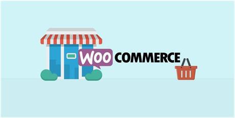 20 Best E-commerce WordPress Plugins of 2017