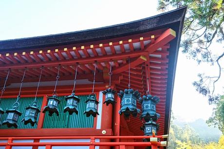 Kansai Diaries, Day 4: Early Morning at Nara Park