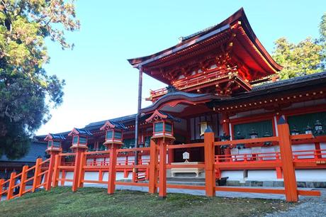 Kansai Diaries, Day 4: Early Morning at Nara Park