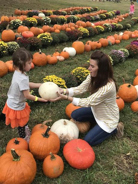 Our Weekend At The Pumpkin Patch