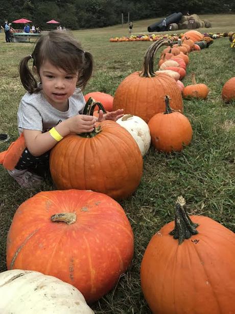 Our Weekend At The Pumpkin Patch