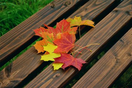 Great landscaping tips for the fall