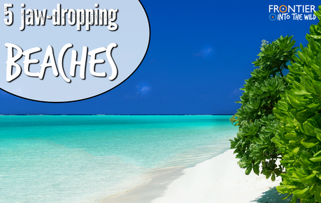 Top 5 Jaw Dropping Beaches Top 5 Jaw Dropping Beaches