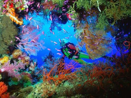 Explore The Beauty Of The Travel Hub, Thailand With Expedia!