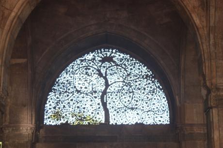 DAILY PHOTO: Mosque Trees, Ahmedabad