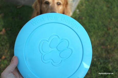 durable dog toys for powerful chewers