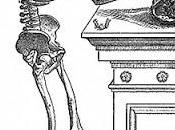 David Tucker Reflects Meaning #Halloween