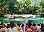 Travellers! Plan Your Trip Singapore Some Unforgettable Moments Life!