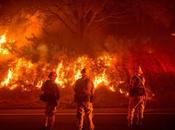 Firestorm: 1,500 Structures Destroyed Massive Wildfires Blaze Through Northern California
