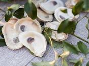 Peat Pearls: Celebration Scotch Farm Raised Oysters Downtown Pensacola Nov.